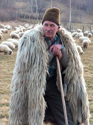 Shepherds… and other “nobodies” – Joy in the Journey